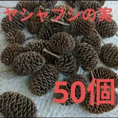 Item thumbnail for item 520550ab-a6a2-4146-bc16-65eadc9018ea