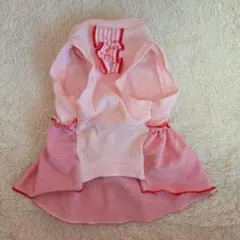 Item thumbnail for item 20f283bf-0aaa-4165-954c-7352e8dacc20