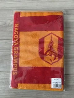 2025年最新】グランパス タオルの人気アイテム - メルカリ