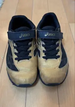 Item thumbnail for item 31ef3fa1-ce71-4407-bfd6-c3ed136d3daf