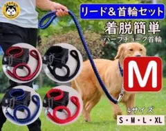 Item thumbnail for item 70eedaed-293a-4727-bfde-925834c4b138