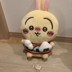 うさぎ　セット