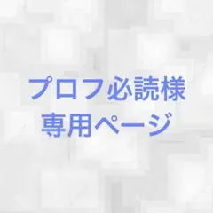 プロフ必読専用ページ