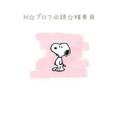 M☆プロフ必読☆様 リクエスト 2点 まとめ商品