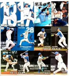 2024 2025カルビープロ野球チップス　日本ハム　スターカード他12枚