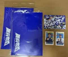 横浜DeNAベイスターズ CSポストカード プロデュースグルメカード蛯名梶原山﨑