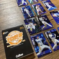 【期間限定値下げ】2005プロ野球チップス サインカードセット vol.3