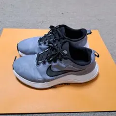 NIKE スニーカー・ランニングシューズ ブルーグレー メンズ