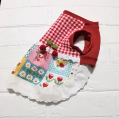 犬服 ラグラン(L) ꒡̈⃝Lily꒡̈⃝ハンドメイド - メルカリ