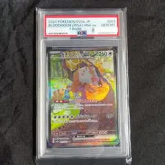 2026年最新】ガチグマ sar psa10の人気アイテム - メルカリ