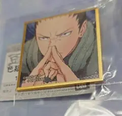 NARUTO 疾風伝 豆ガシャ 色紙 シカマル