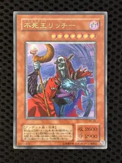 た*ー様 不死王リッチー 闇属性 レリーフ　５つ目 2026年最新】不死王リッチー レリーフ psaの人気アイテム - メルカリ