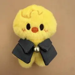 ポガリ アイドル