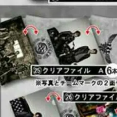 HiGH&LOW　クリアファイル　雨宮兄弟　ムゲン