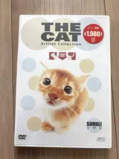 【新品未開封】THE CAT Artlist Collectionソマリ DVD