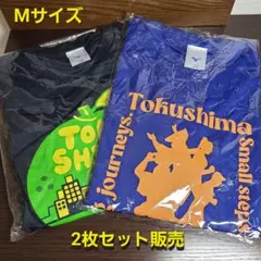 徳島 マラソン参加Tシャツ M ミズノ 吸水速乾 限定Tシャツ トレーニングT