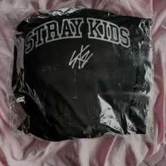 Stray kids スキズ エコパ アプグレ特典