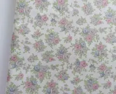 Item thumbnail for item 9afabef9-4e56-41db-92ce-acff29580755