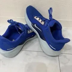 NIKE AIRzoom Pegasus41