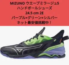 MIZUNO ウエーブミラージュ5 ハンドボールシューズ