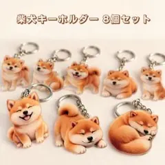 犬 キーホルダー 柴犬 8種類 セット アクリル 目印チャーム プチギフト 新品