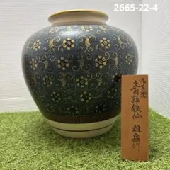 2026年最新】大壺の人気アイテム - メルカリ