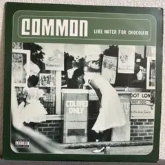 Common Like Water for Chocolate LP レコード
