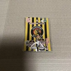 gori.tigers様 リクエスト 2点 まとめ商品