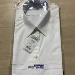 Item thumbnail for item af7c5ba7-7bd8-4e5d-a178-0c57a4499411