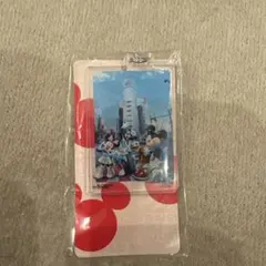 ディズニー アクリルキーホルダー