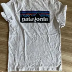 patagonia Tシャツ