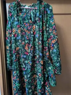 Item thumbnail for item ec4e943a-b3c4-49b7-ad13-98db2fd110ce