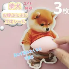 土日限定SALE　柴犬　おなかぷにぷにシール3枚　立体　ぷっくりお腹　スクイーズ