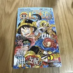 ONE PIECE 113