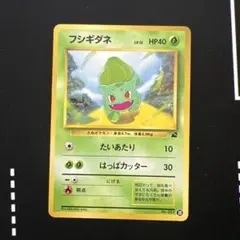 フシギダネ PROMO DPt-Pプロモカード 030/051 - メルカリ
