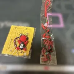 ケータイ刑事銭形命DVD-BOX初回限定封入特典 古銭&ハート型携帯