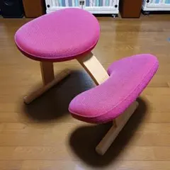 バランスイージー 健康用品