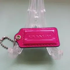 Item thumbnail for item 272e6355-e2ff-4991-b95b-a40bd42c8a0b