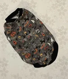 Item thumbnail for item 79798d67-c427-4274-8dbb-8ce3cc19482b