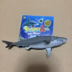 シャークアタック&co ビックサイズ　14のサムネイル