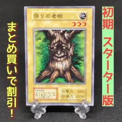 2025年最新】悟りの老樹の人気アイテム - メルカリ