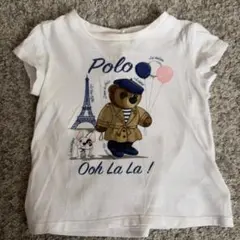 ポロベア Tシャツ ホワイト