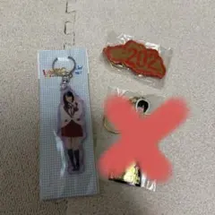 AKB48 山本彩　キーホルダー