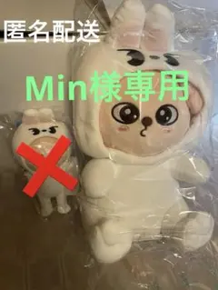 2025年最新】Skzoo 抱きぬいぐるみの人気アイテム - メルカリ