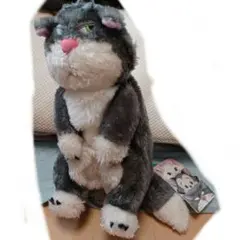 新品タグ付き★ルシファー ぬいぐるみ のび　ペンケース　シンデレラ　完売品 ルシファー ぬいぐるみ のび ペンケース シンデレラ 完売品 筆箱 | Mercari
