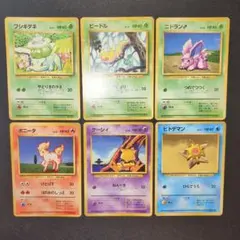 フシギダネ ビードル ニドラン ボニータ ケーシィ ヒトデマン 旧裏 マーク無し