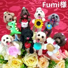 ♥Fumi様専用♥オーストラリアンラブラドール♥トイプードル♥ガーデンピック犬♥