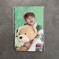 【 新品未開封 】 SKZ TOY WORLD バンチャン