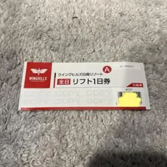 ウィングヒルズ全日リフト券2枚セット ウイングヒルズ白鳥リゾート リフト券 全日シニア スキー スノーボード
