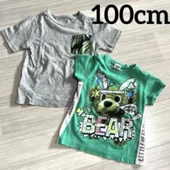 Tシャツ 2枚セット 100cmのサムネイル